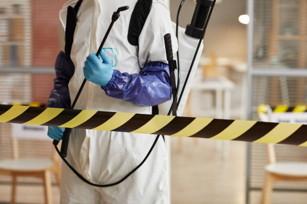Professional Sewage Cleanup technician working in Berwyn, IL